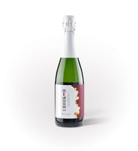 Load image into Gallery viewer, Vin de pomme mousseux Crooked Sparkling Apple Wine
